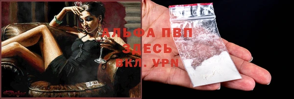 индика Аркадак