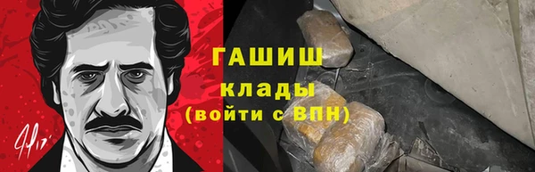 индика Аркадак