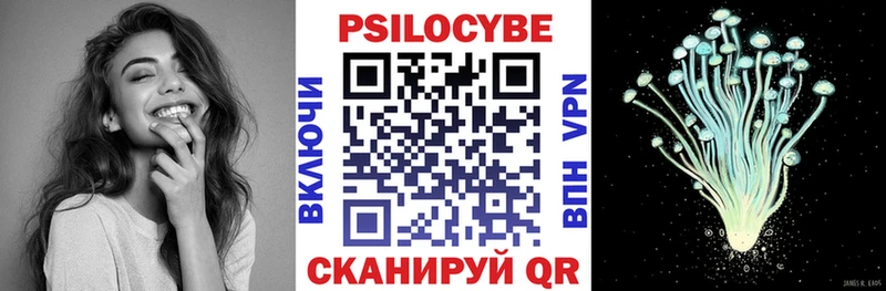 магазин наркотиков мега как войти Псилоцибиновые грибы Magic Shrooms Курлово